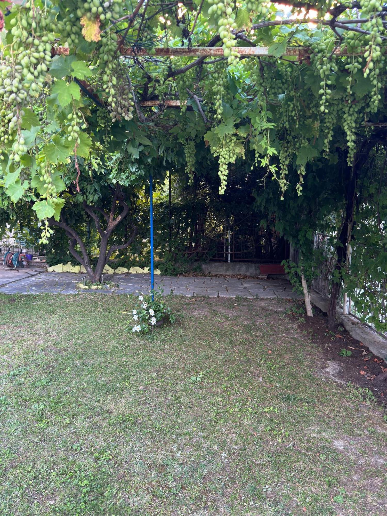 Valentinas Garden Apartment Split Ngoại thất bức ảnh