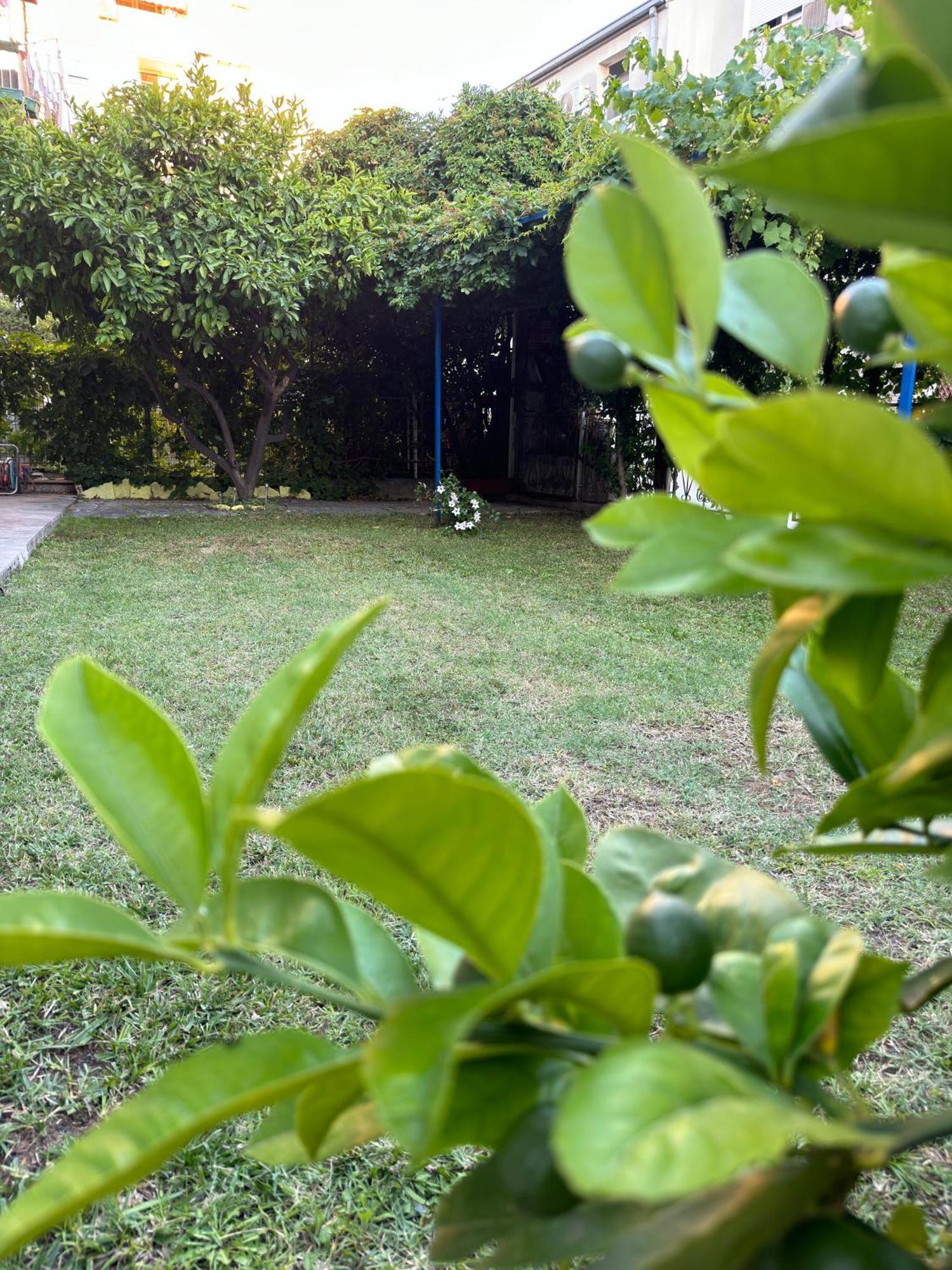 Valentinas Garden Apartment Split Ngoại thất bức ảnh
